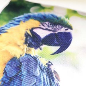 旗布 Flag Fabric